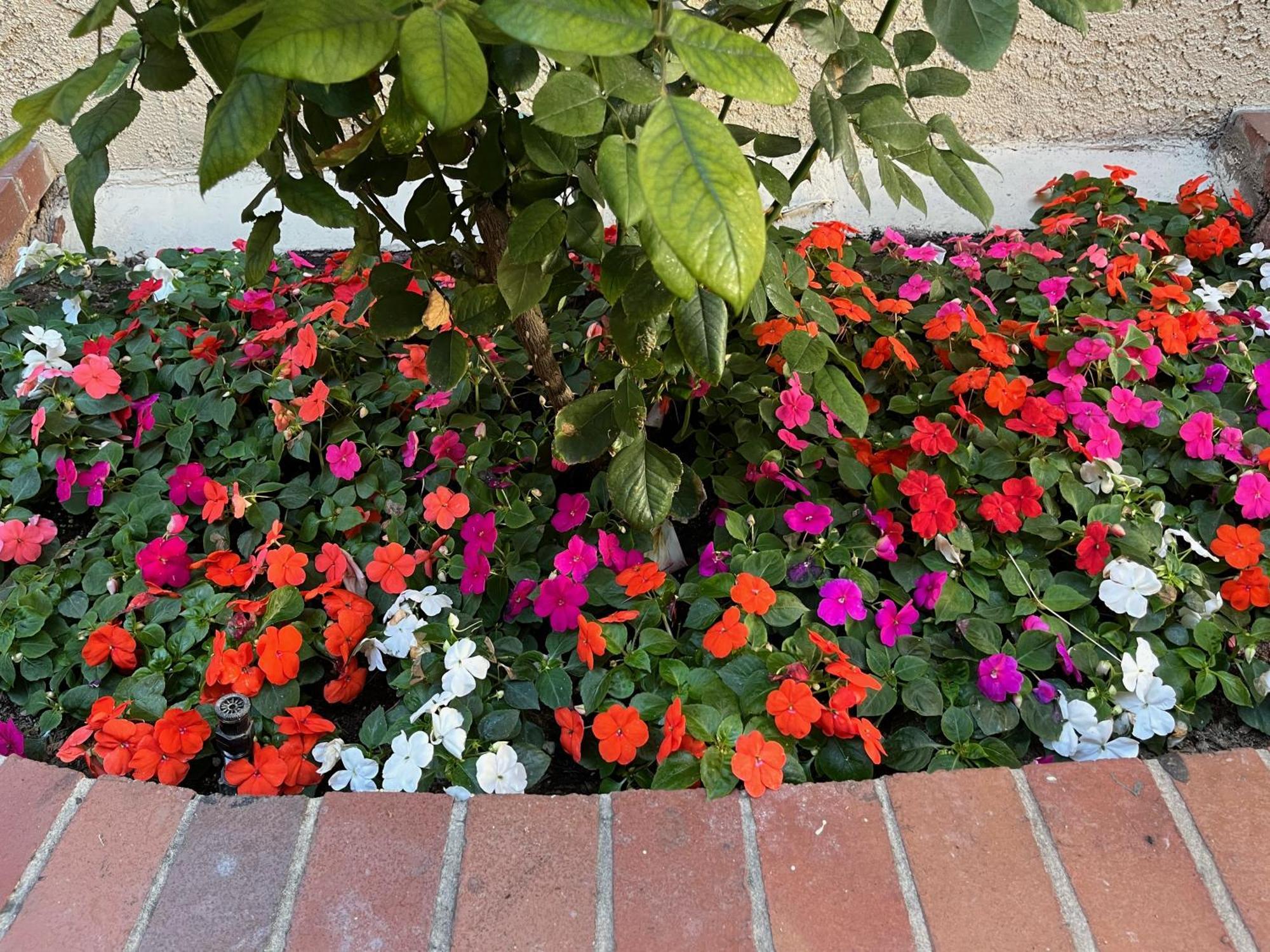 Laguna Inn And Suites San Juan Capistrano Exterior foto